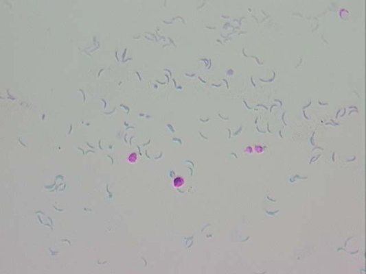 Navigate to this Product's page