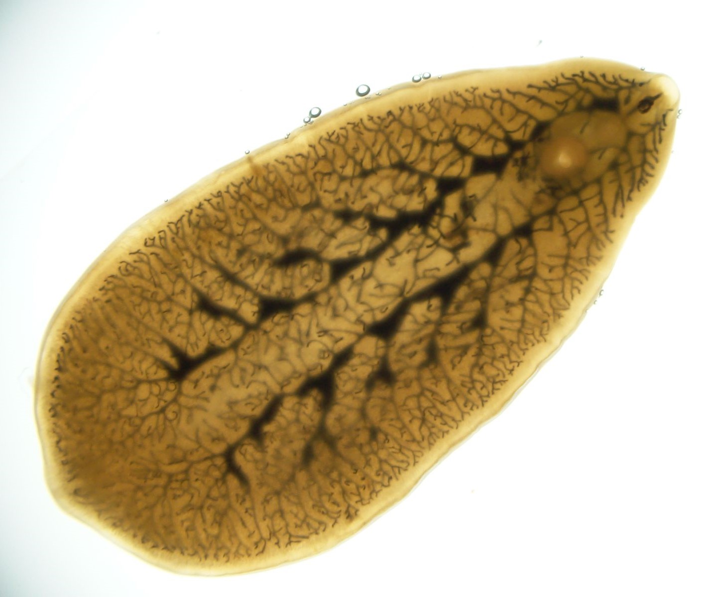 Navigate to this Product's page