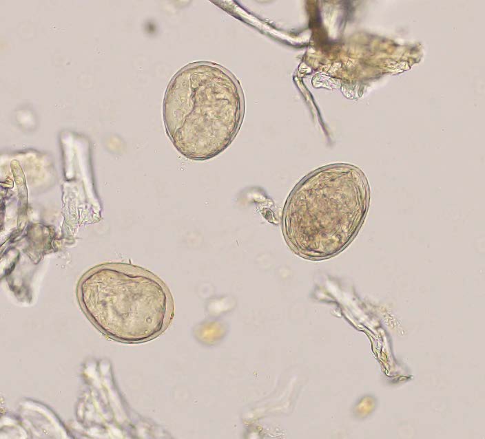 Navigate to this Product's page