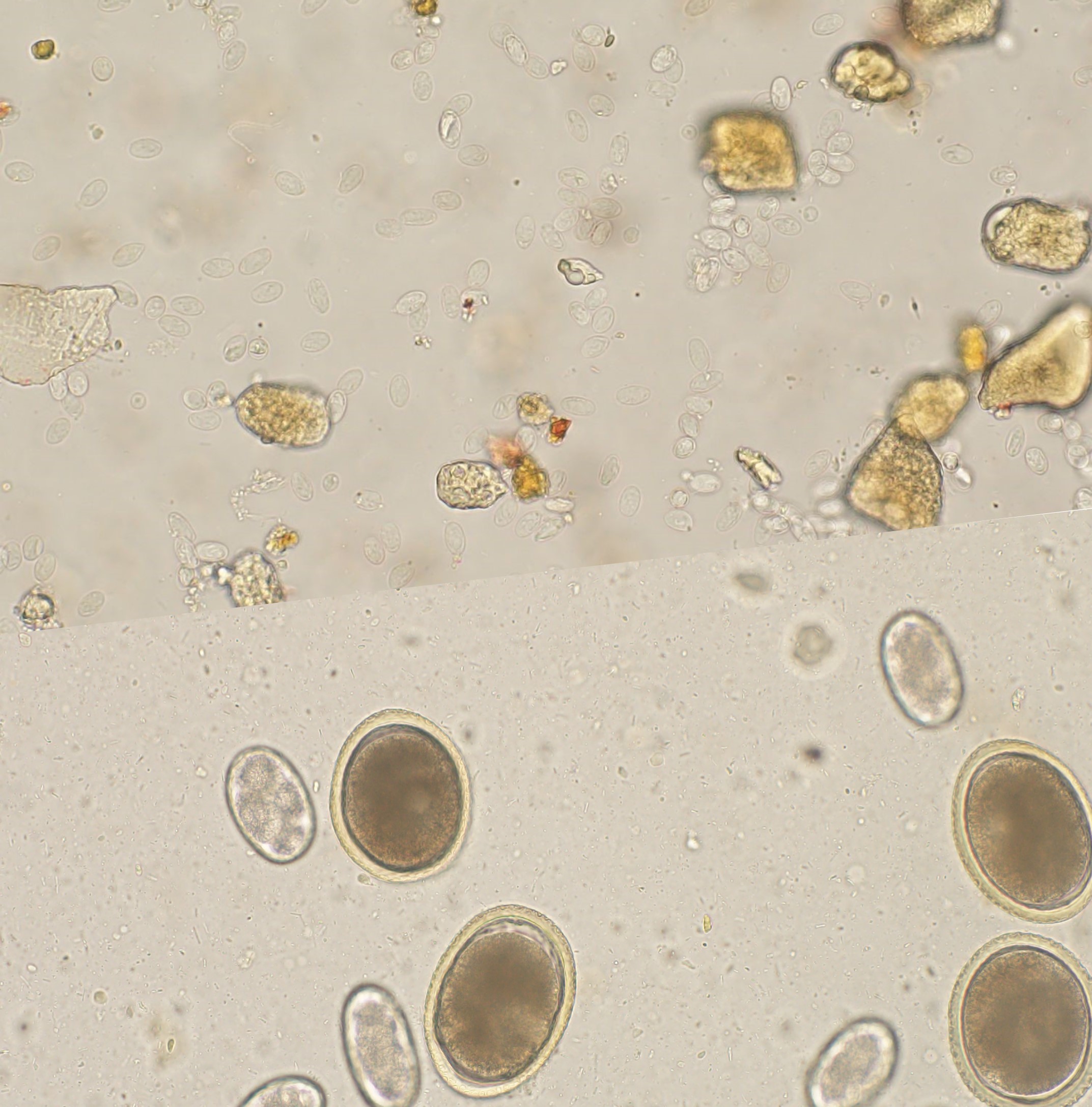 Navigate to this Product's page