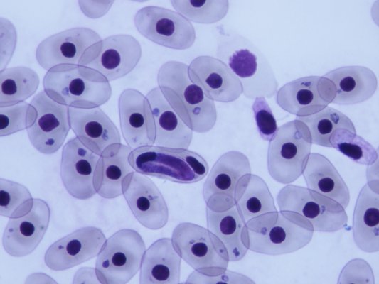 Navigate to this Product's page