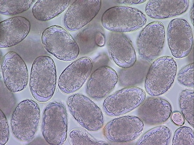 Navigate to this Product's page