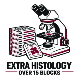 H)  Extra Histology > 15 blocks