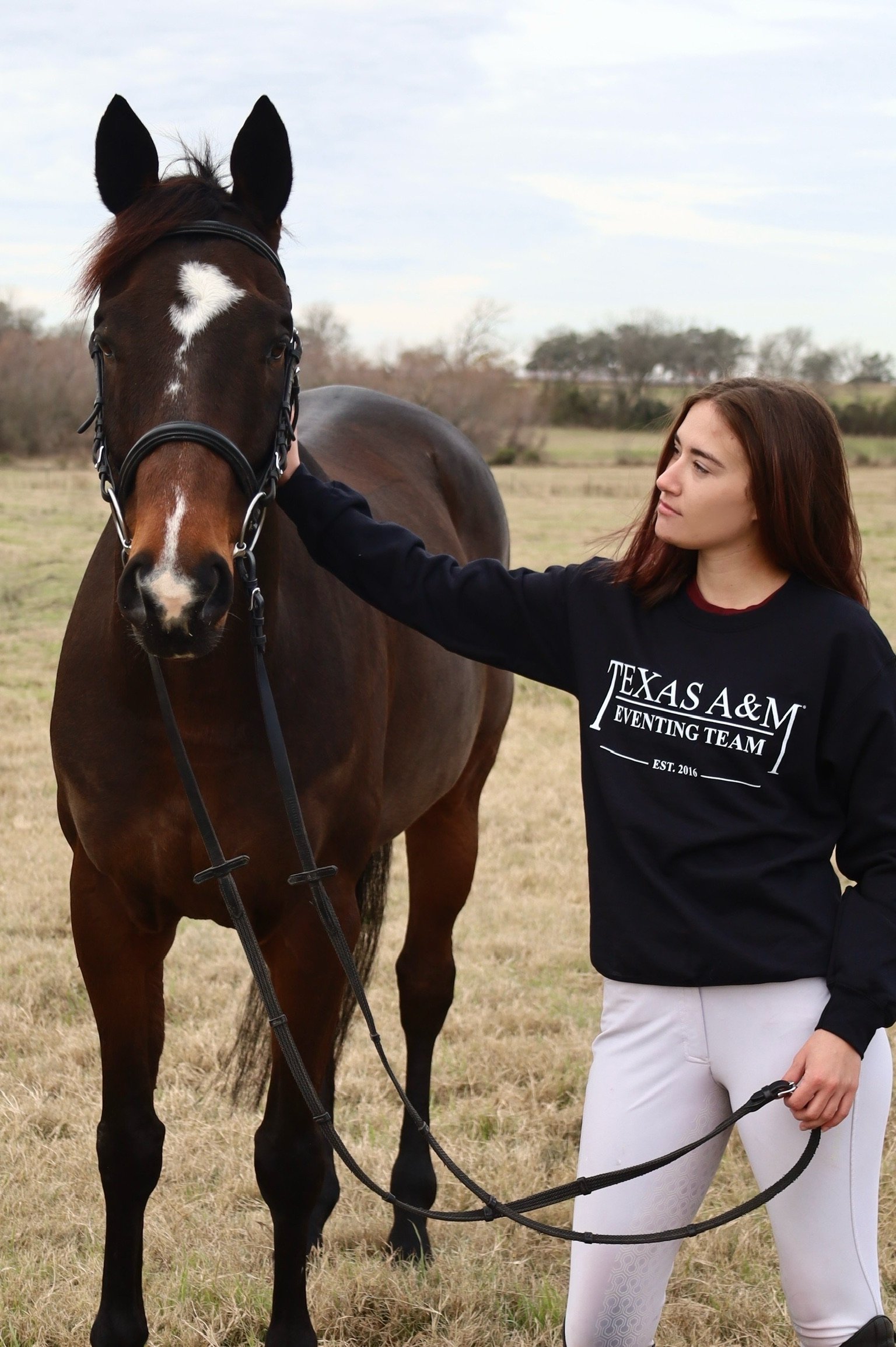 !NEW! TAMU Eventing Black Crewneck