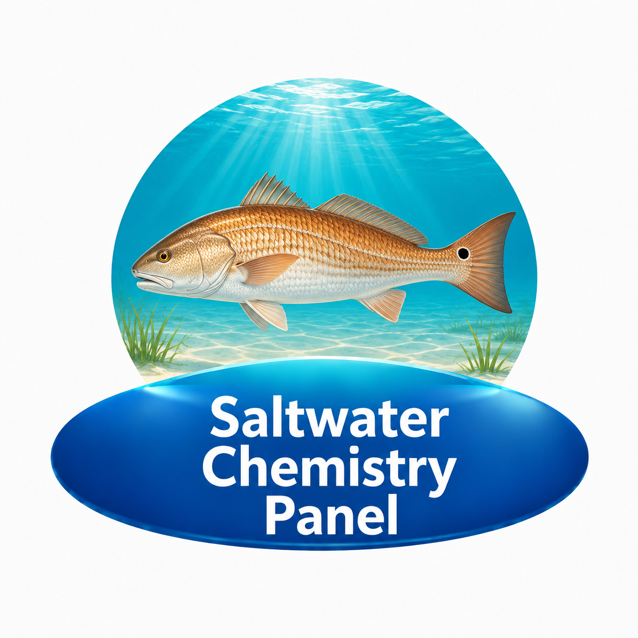 Navigate to this Product's page