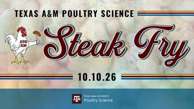 Steak Fry