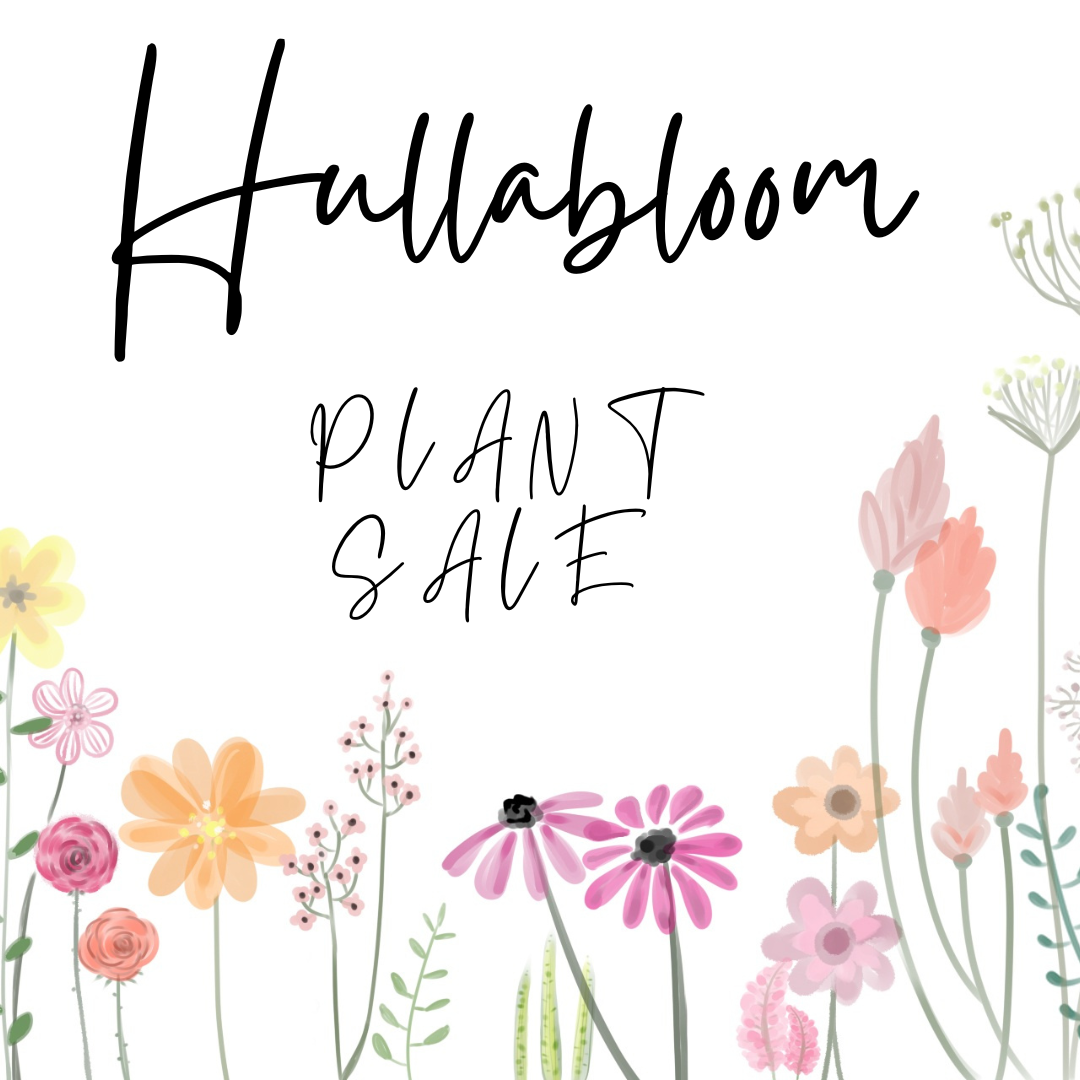 2025 Hullabloom Plant Sale