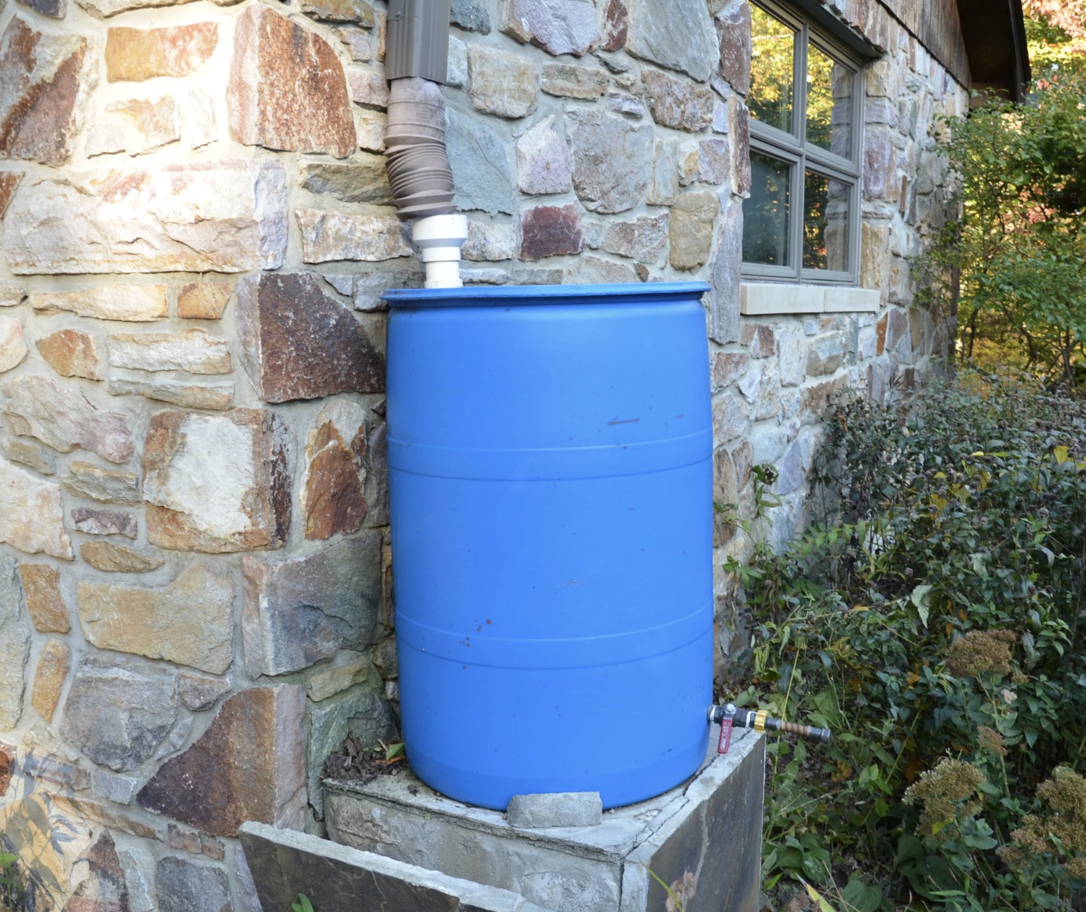 2025 Rain Barrel workshop Castroville