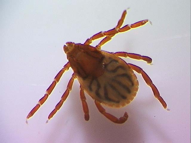 Navigate to this Product's page