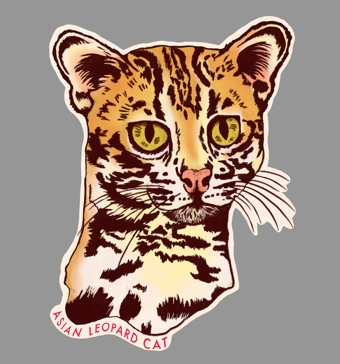 WCWC Asian Leopard Cat Sticker