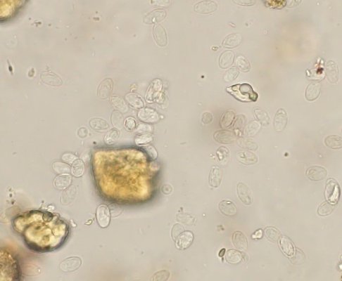 Navigate to this Product's page