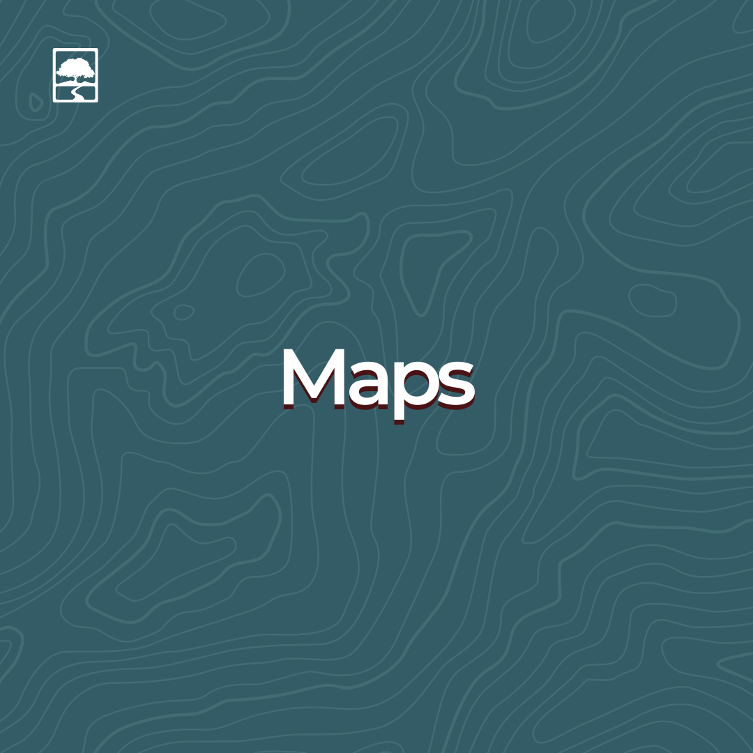 Navigate to the list of Products belonging to this Store Category