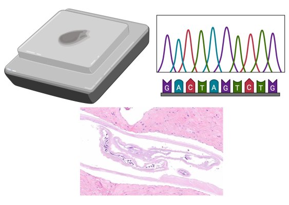 Navigate to this Product's page