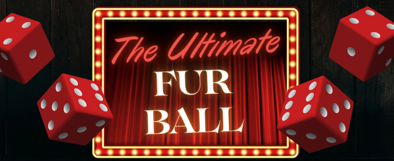 Furball 2025 Student Ticket