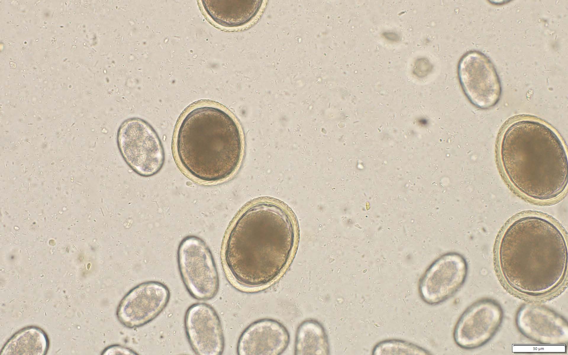 Navigate to this Product's page