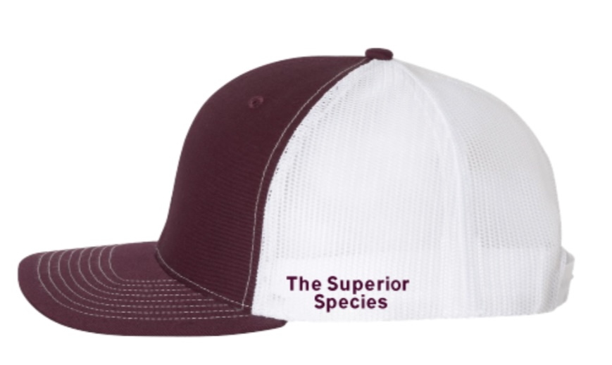 Maroon TAMU SCAABP Logo Richardson Cap