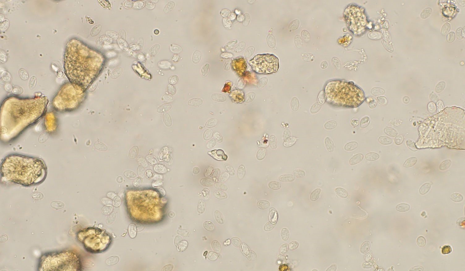 Navigate to this Product's page