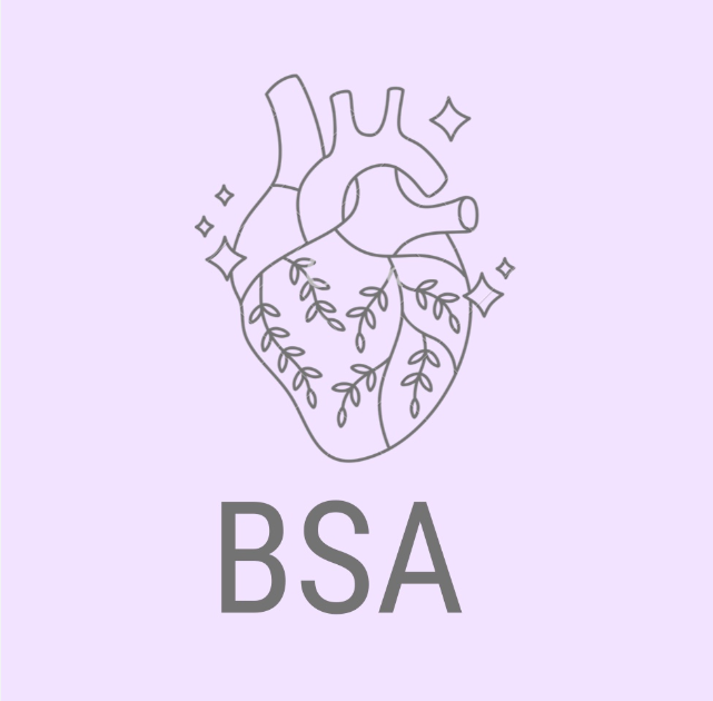 BSA Donations