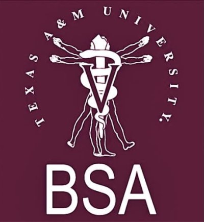 2023-2024 BSA Membership Dues