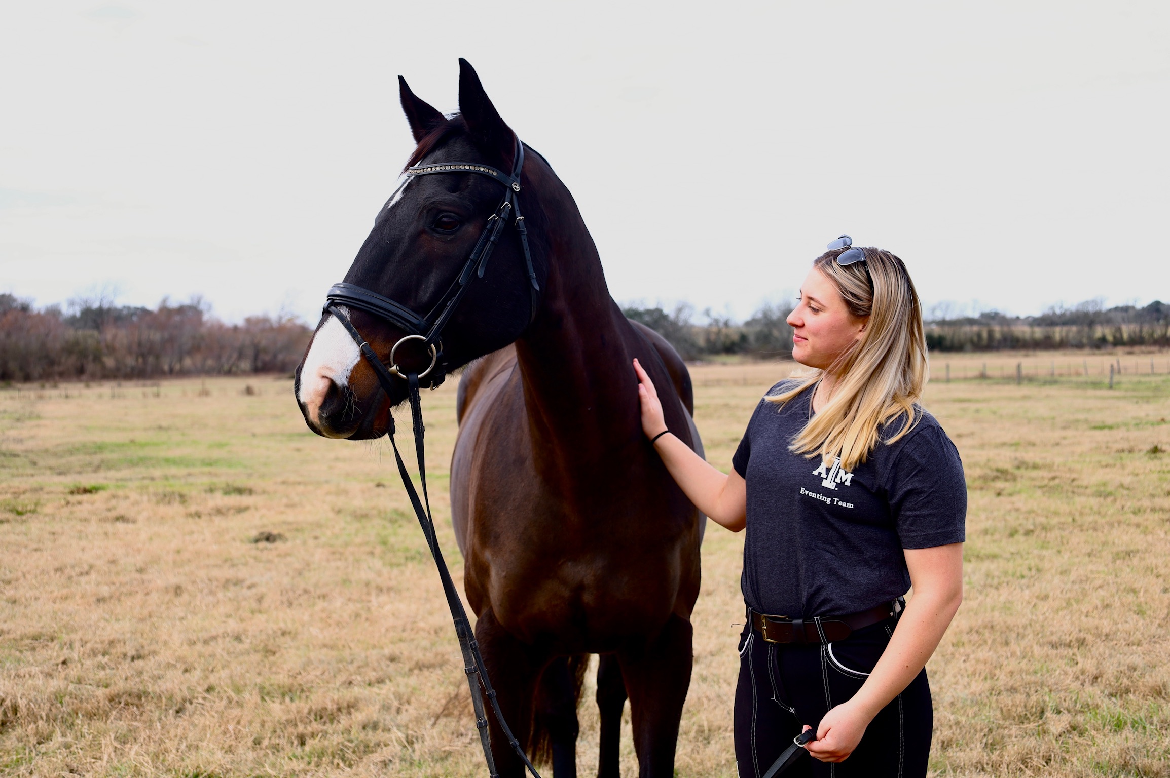 !NEW! TAMU Eventing Grey T-Shirt