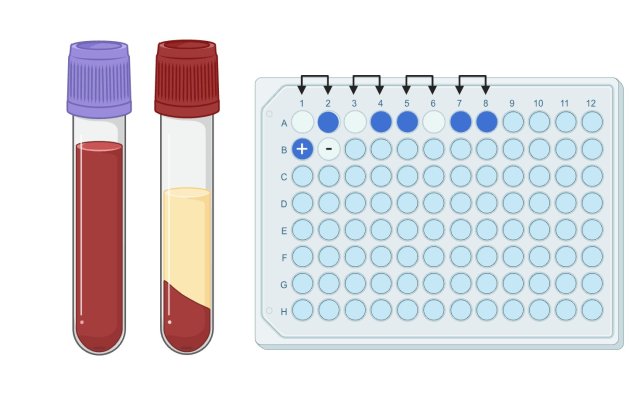 Navigate to this Product's page