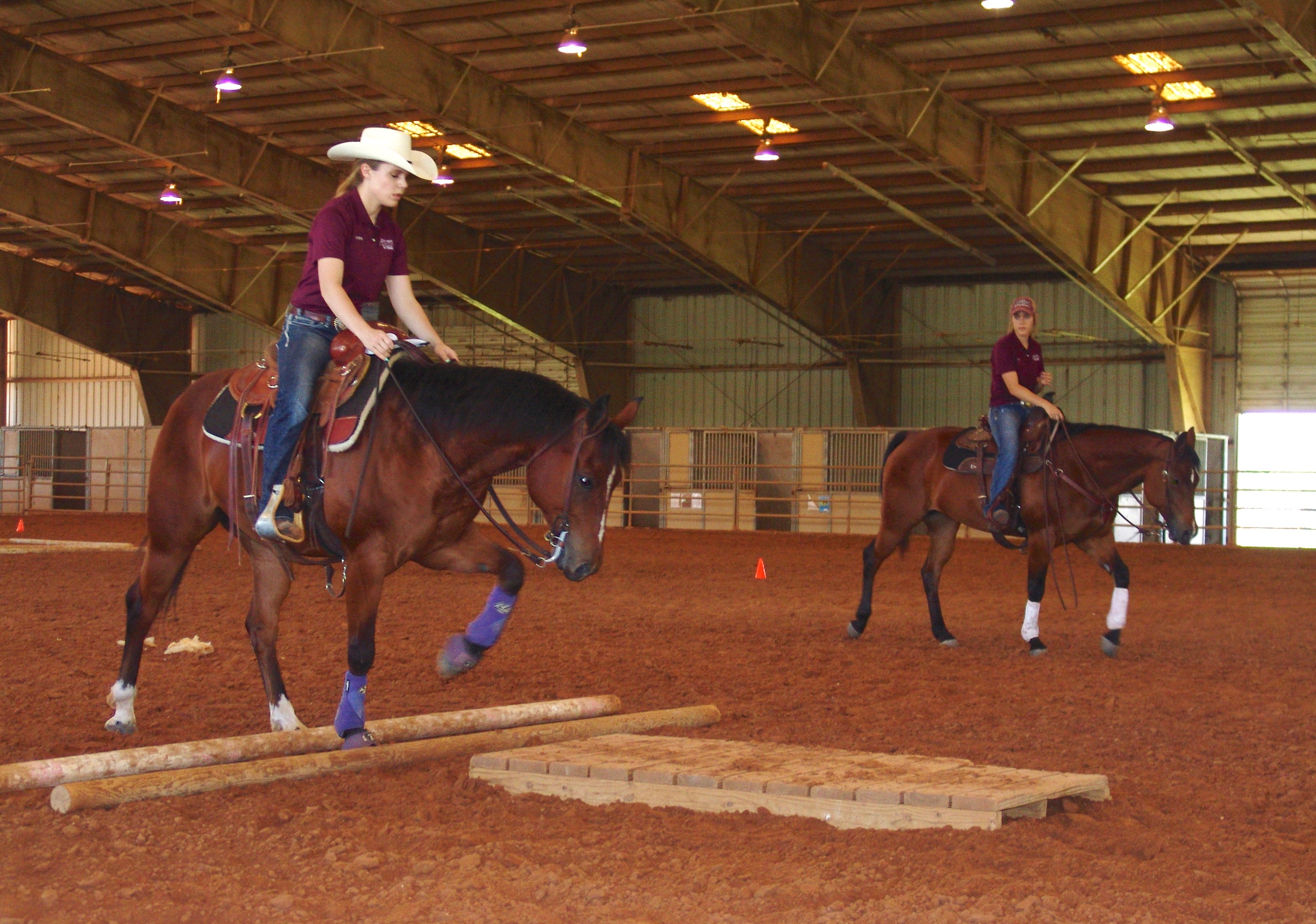 Texas A&amp;M Summer Horsemanship School Program (May 29-June 30 2023)