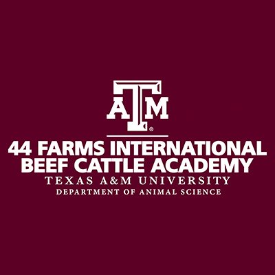 International Beef Cattle Academy