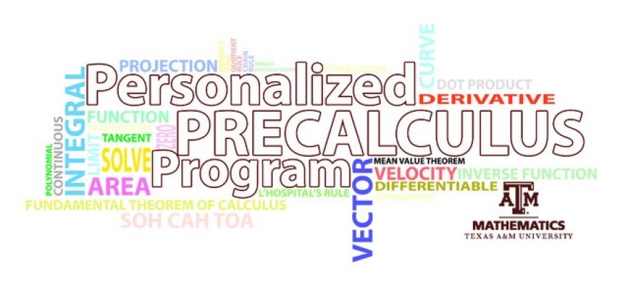 Personalized Precalculus Program (PPP)