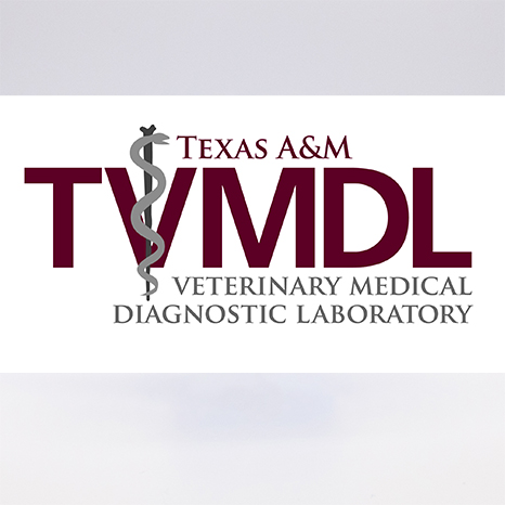 Texas Pullorum – Typhoid Authorized Agent Training (November 2, 2022)