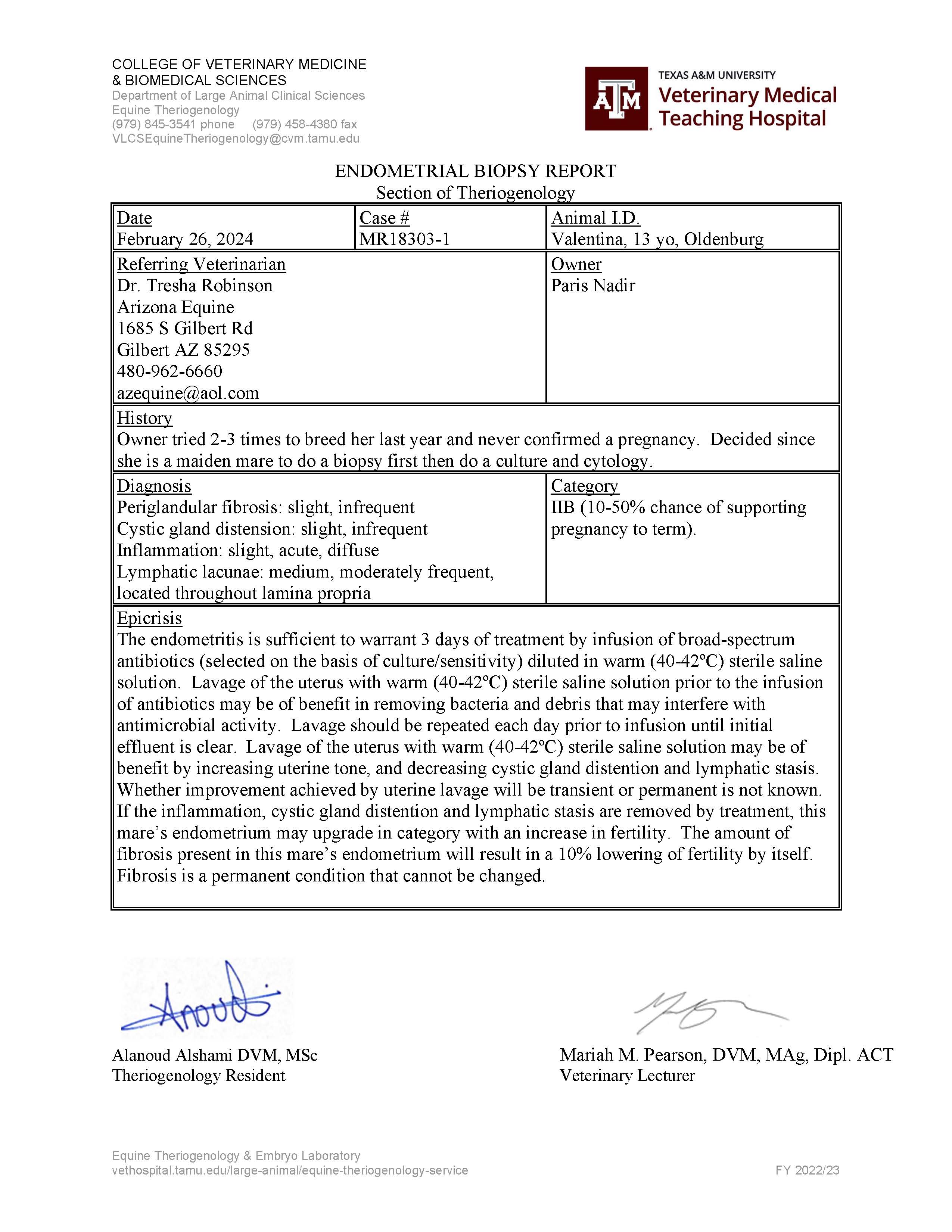 Endometrial Biopsy - Valentina