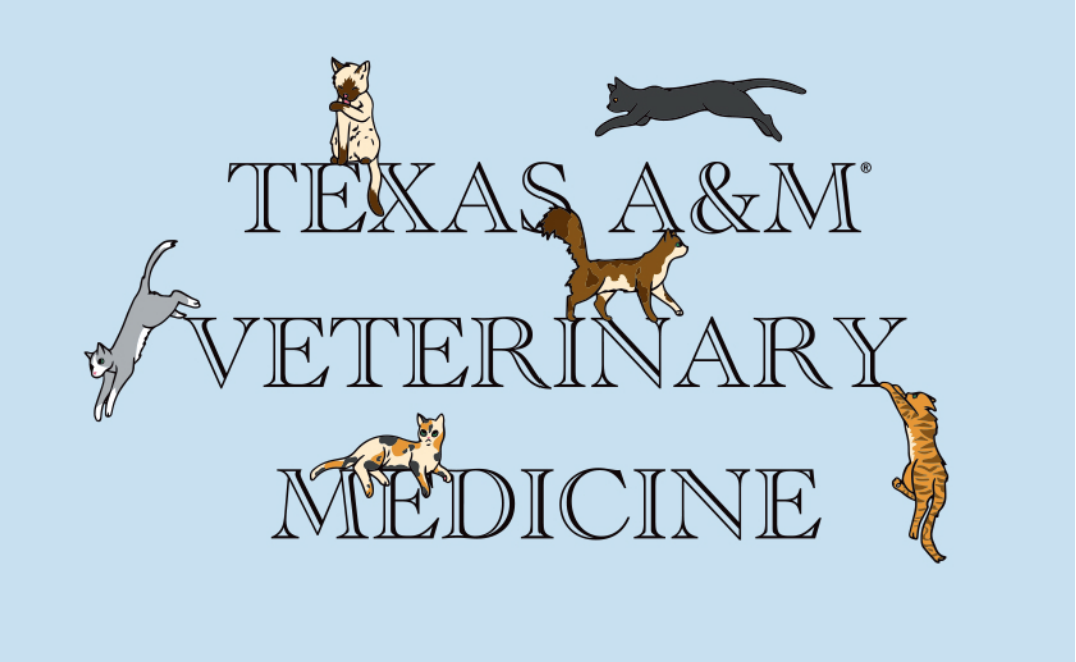 T-shirt design says "Texas A&M Veterinary Medicine" with cats lounging and playing on the letters