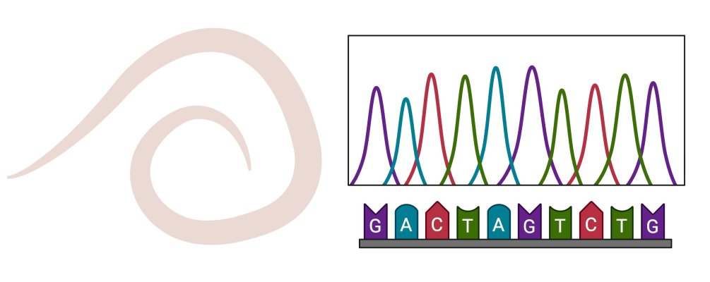 Navigate to this Product's page