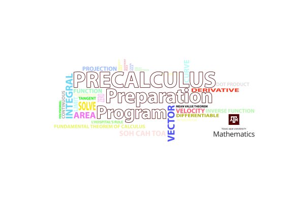 Precalculus Preparation Program (PPP)