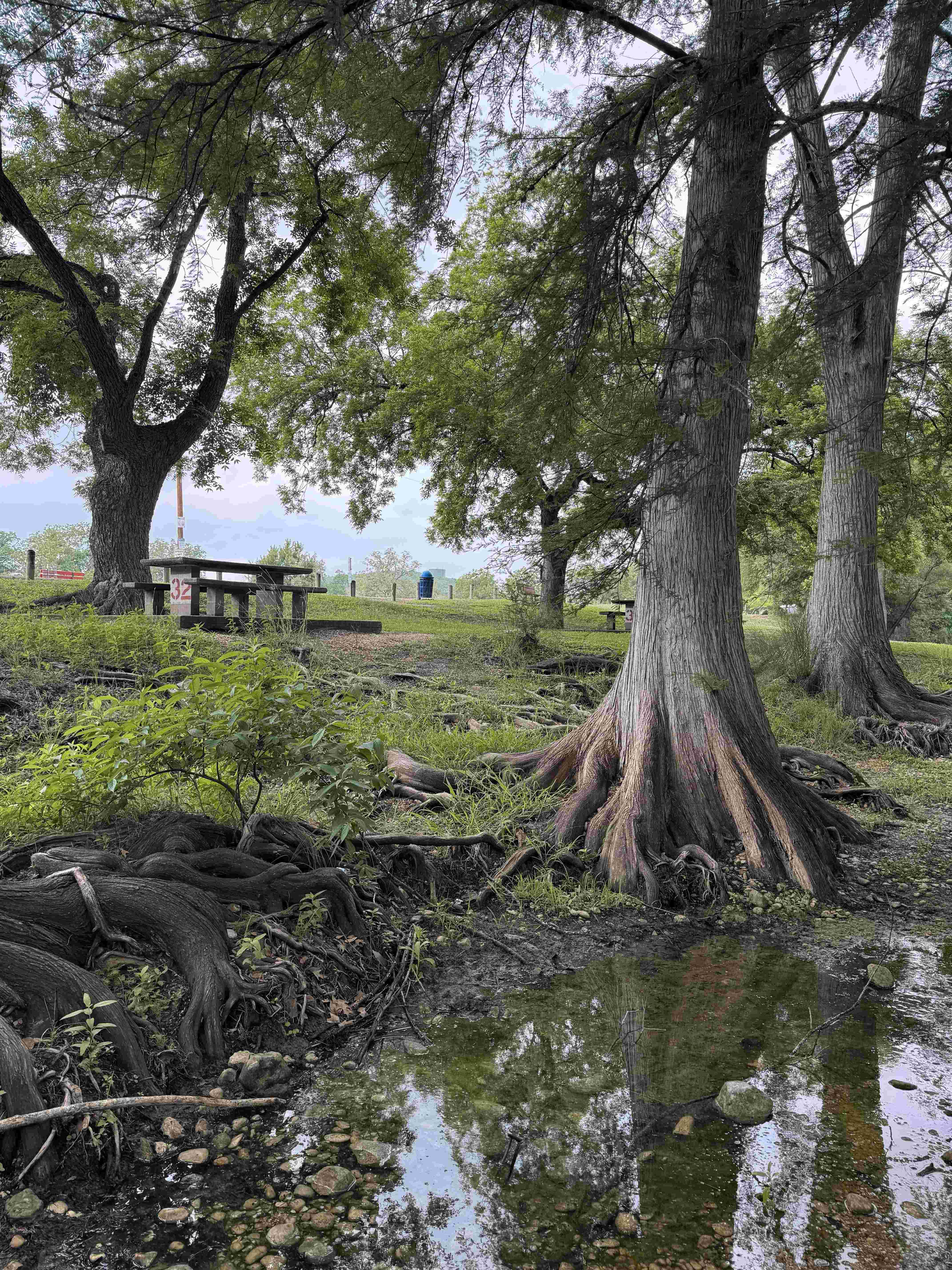 Medina River Volunteer Workday #1: Site Preparation &amp; Construction