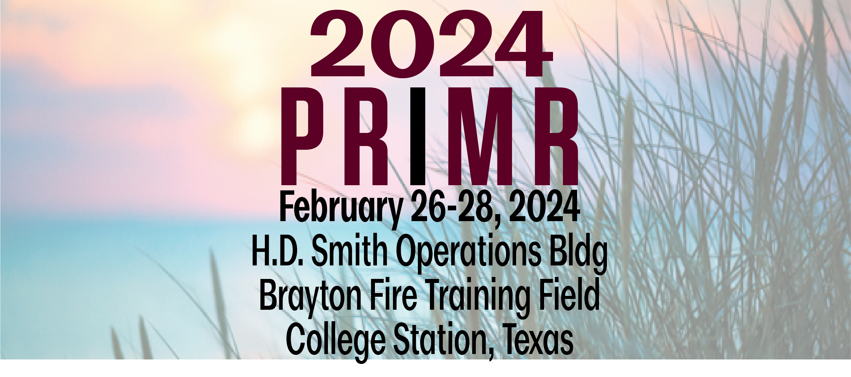 DISASTER PRIMR 2024: INTERFACES OF DISASTER REGISTRATION-SPECIAL