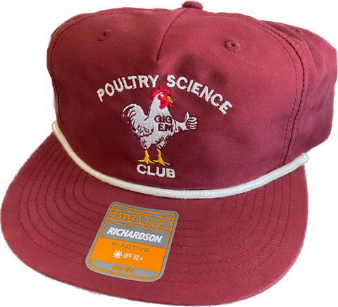 Maroon Gig'Em Chicken Hat