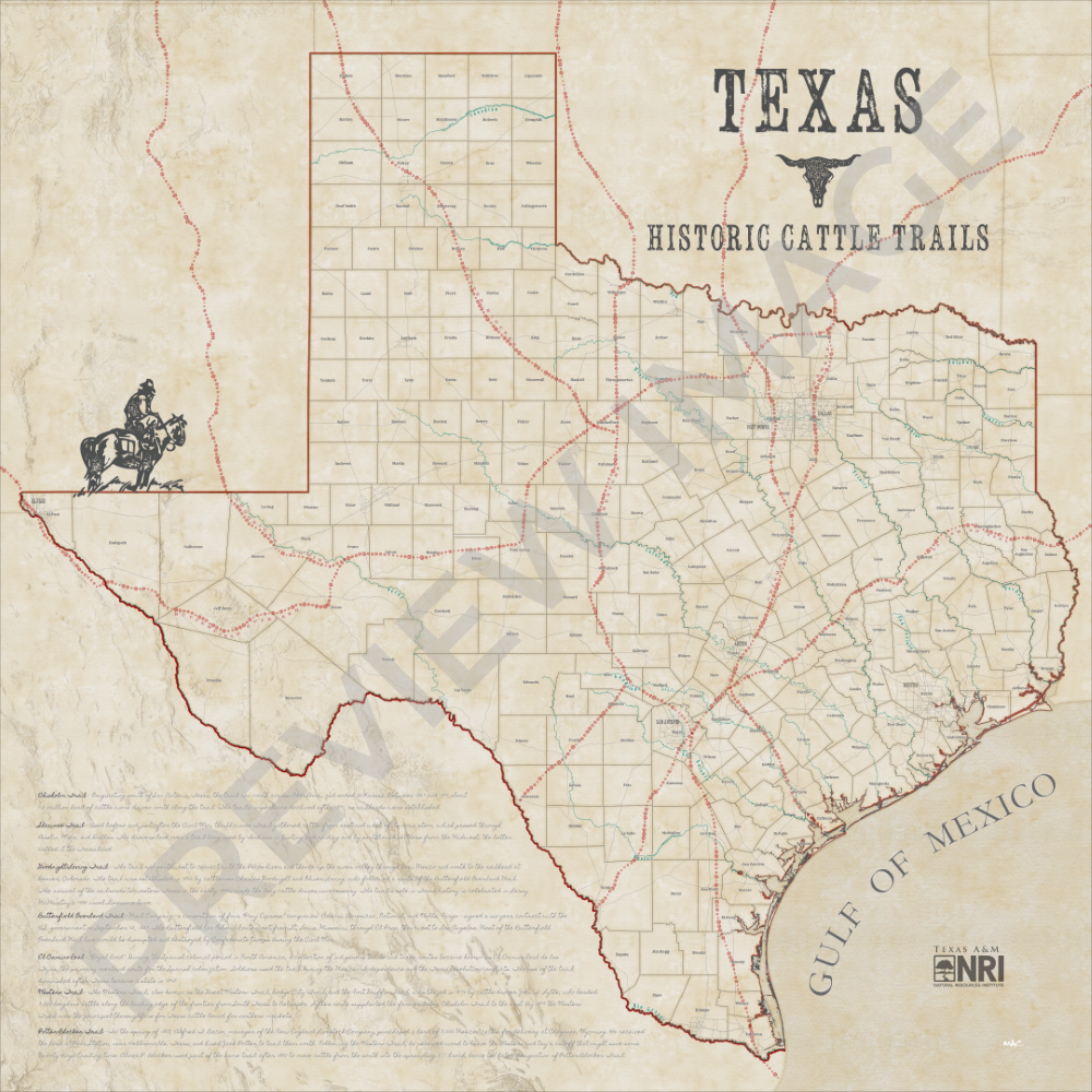 Texas Historic Cattle Trails Map