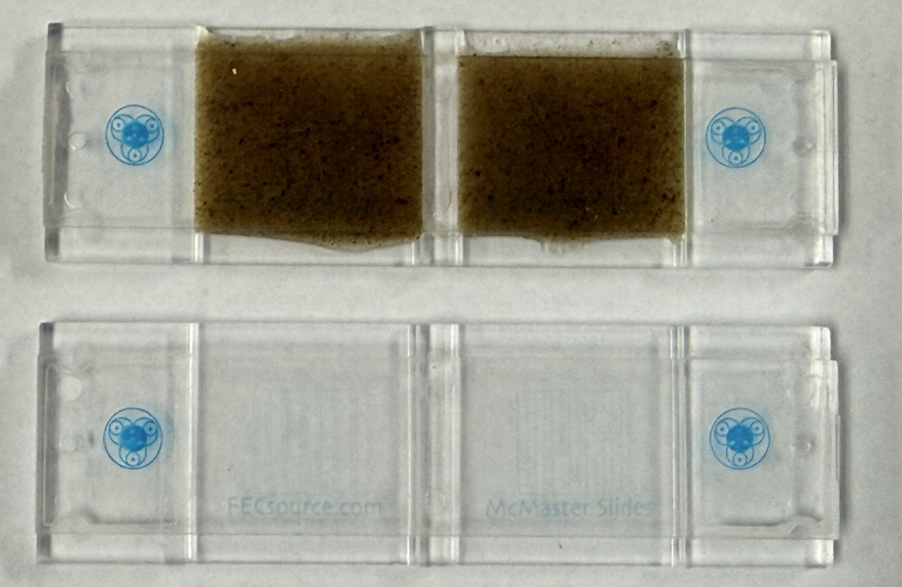 Navigate to this Product's page