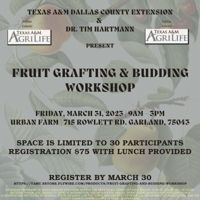 Fruit Grafting and Budding Workshop (March 31, 2023)
