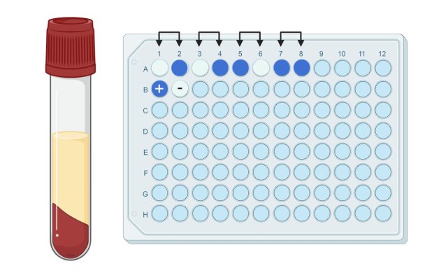 Navigate to this Product's page