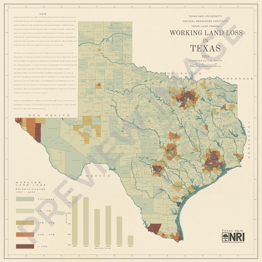 Navigate to this Product's page