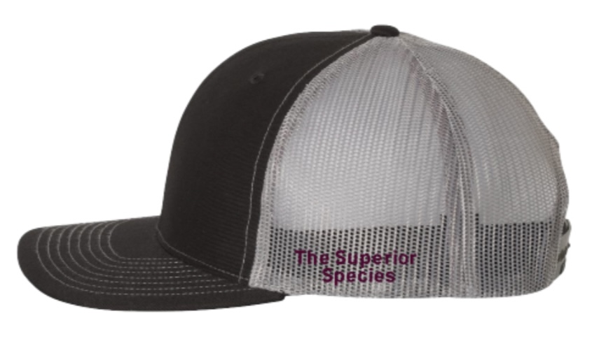 Black TAMU SCAABP Logo Richardson Cap