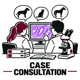 K)  Case Consultation