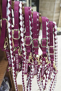 Horse Halter &amp; Lead Rope - LARGE 900-1200 lbs