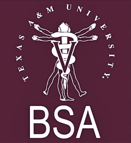 2022 Fall BSA Membership Dues