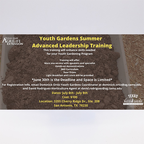 Youth Gardens Advanced Leadership Training (July 6 - 8, 2022)