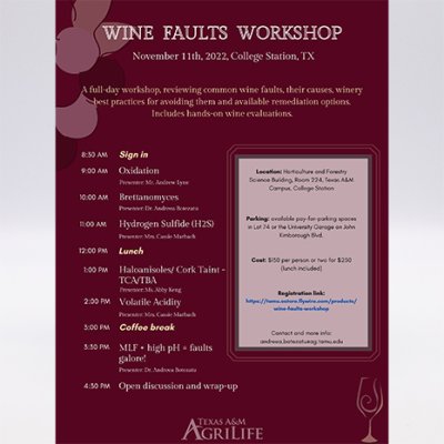 Wine Faults Workshop  (Nov 11, 2022)